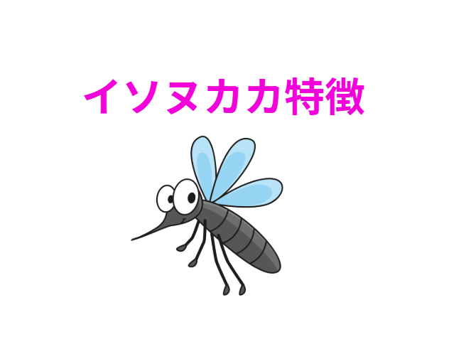 夜釣りの大敵、イソヌカカ（潮だまり蚊）特徴説明。釣太郎