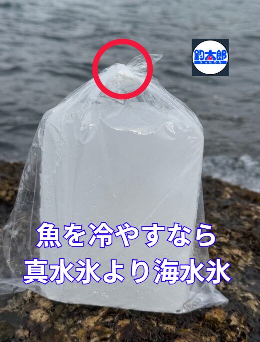 釣太郎の海水氷は1キロと3キロあります。