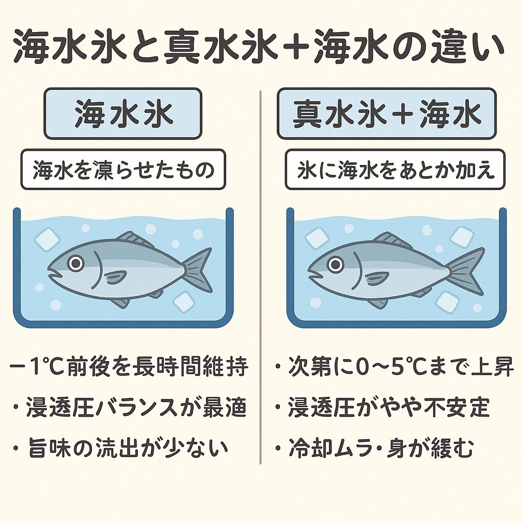 海水氷 vs 真水氷＋海水の違い。魚冷却方法解説。釣太郎