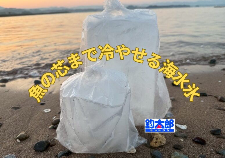 【釣り人必見】海水氷は魚の芯まで冷やせるのか？真水との違いを徹底解説！釣太郎