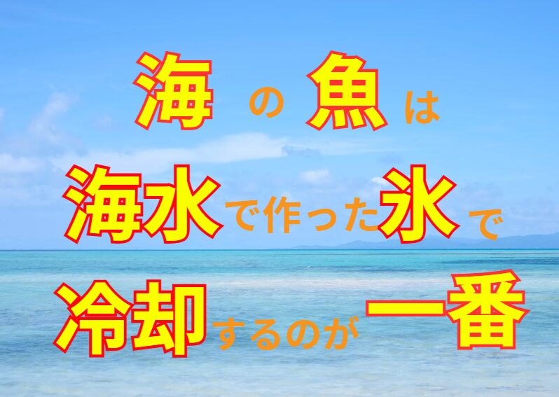 【6月必見！】釣った魚は真水氷NG！「海水氷」で鮮度をキープする科学的理由。釣太郎
