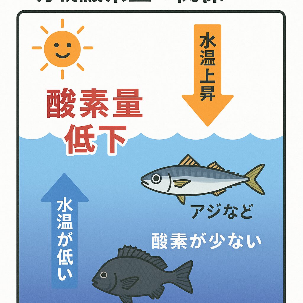南紀の夏、釣り人必見！高水温が海の酸素を奪うって本当？海中環境の変化を徹底解説！釣太郎
