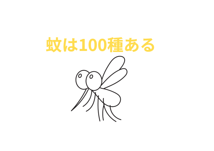 蚊は全国に100種類がある。釣太郎