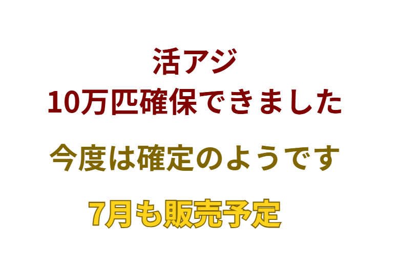 アオリイカ釣り用エサ、活アジ10万匹確保できました。釣太郎