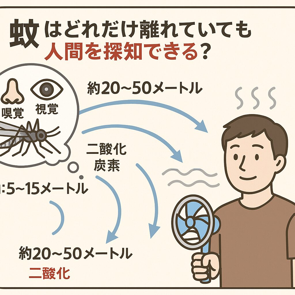 蚊はCO₂を最大50メートル先から感知して近寄る。釣太郎