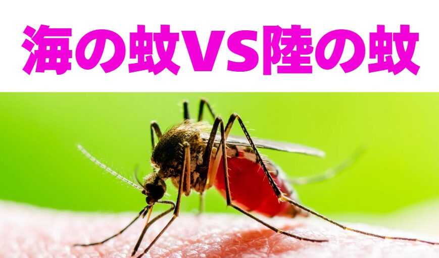 【夏の天敵】海の蚊 vs 陸の蚊：あなたはどっちが嫌？生態と対策を徹底比較！釣太郎