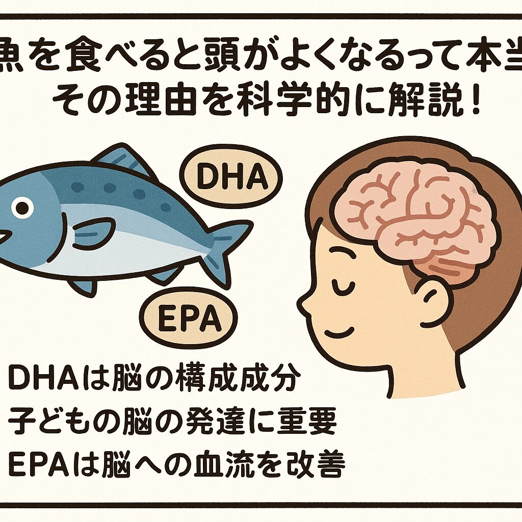 魚、とくに青魚(サバ・イワシ・アジ・ブリなど)には、DHA(ドコサヘキサエン酸)とEPA(エイコサペンタエン酸)という成分が豊富に含まれています。このDHAこそが、「頭がよくなる」と言われる最大の理由です。釣太郎