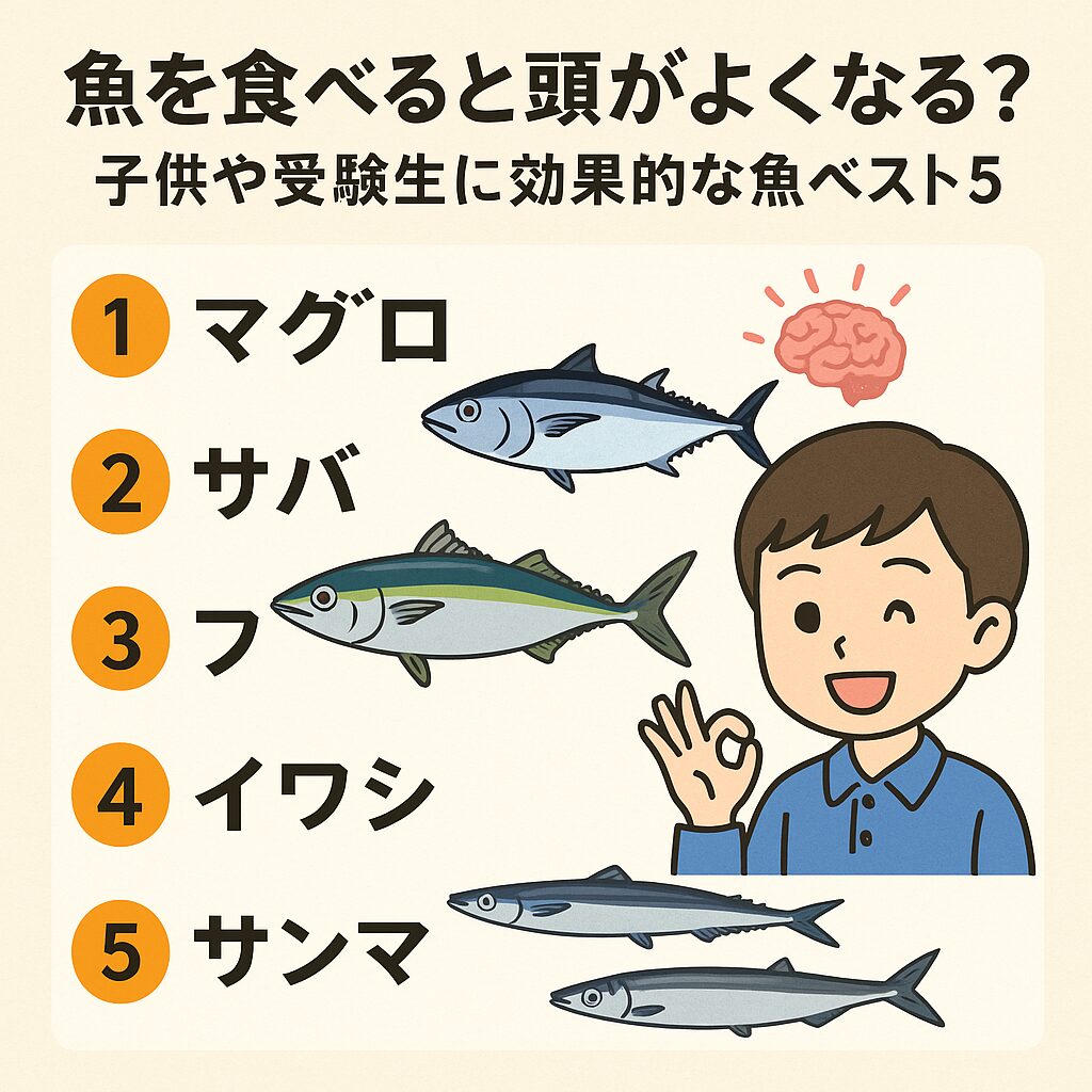 子供や受験生におすすめ！頭に良い魚ベスト5。釣太郎