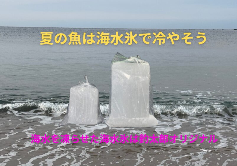 夏の魚は「海水氷」で冷やそう!真水氷より効果的な食中毒対策をAIが徹底解説。釣太郎