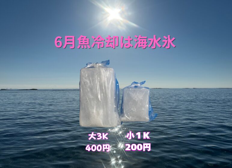 今年の梅雨は、ぜひ海水氷を活用して、食中毒のリスクを賢く回避し、豊かな海の恵みを安心してご家庭で味わいましょう。釣太郎