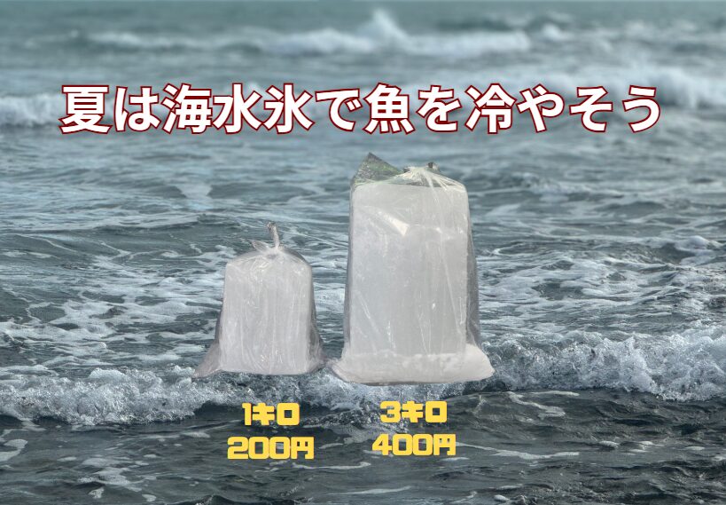 海水氷は魚に優しい冷却方法。「海水氷」は海水を凍らせたもの。 つまり、魚がもともと泳いでいた水で作った氷です。釣太郎