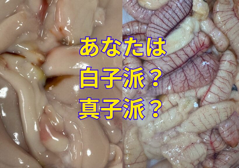 【白子と真子】どっちが好き？実は知らない人も多い「真子＝魚の卵」の真実。釣太郎