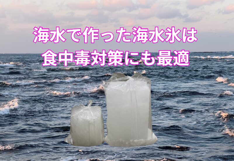 【猛暑対策】魚の冷却は「真水氷」より「海水氷」!釣り人必見の食中毒予防術。釣太郎