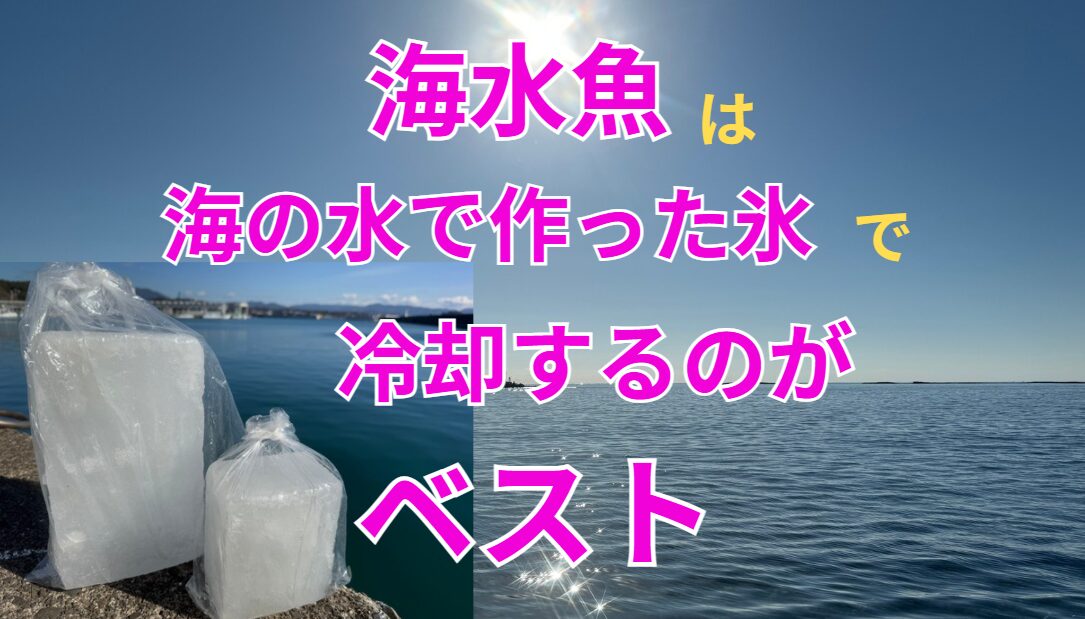 梅雨時期の魚冷却に最適な「海水氷」。海水を凍らせているため魚に負担なく、しかも食中毒予防にも効果的。釣太郎