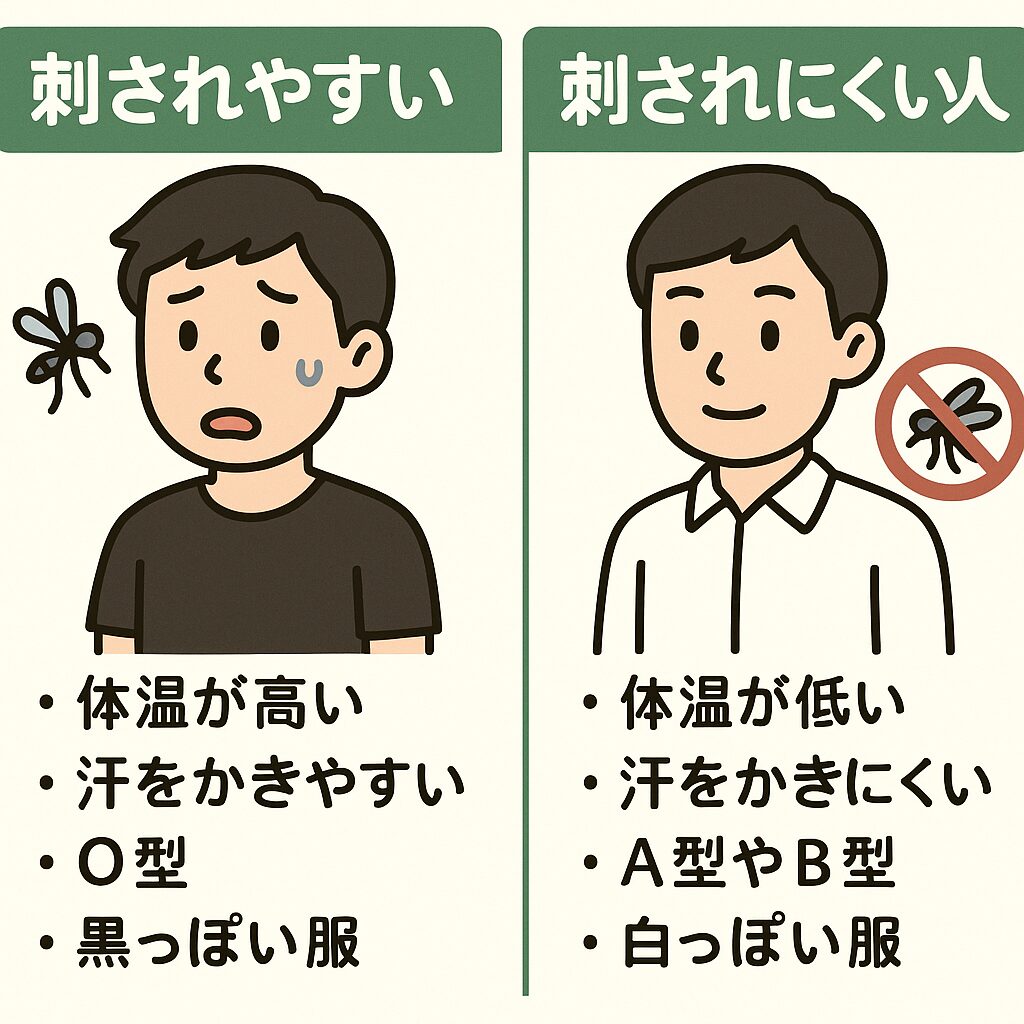 蚊に刺されやすい人と刺されにくい人は最大で何倍違う？その理由と対策　。釣太郎