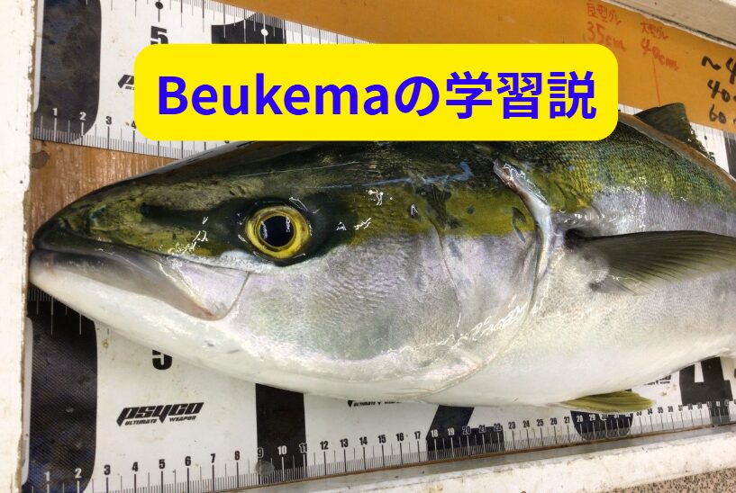 賢い魚の学習能力：一度釣られた魚はなぜ賢くなるのか？Beukemaの学習説説明。釣太郎