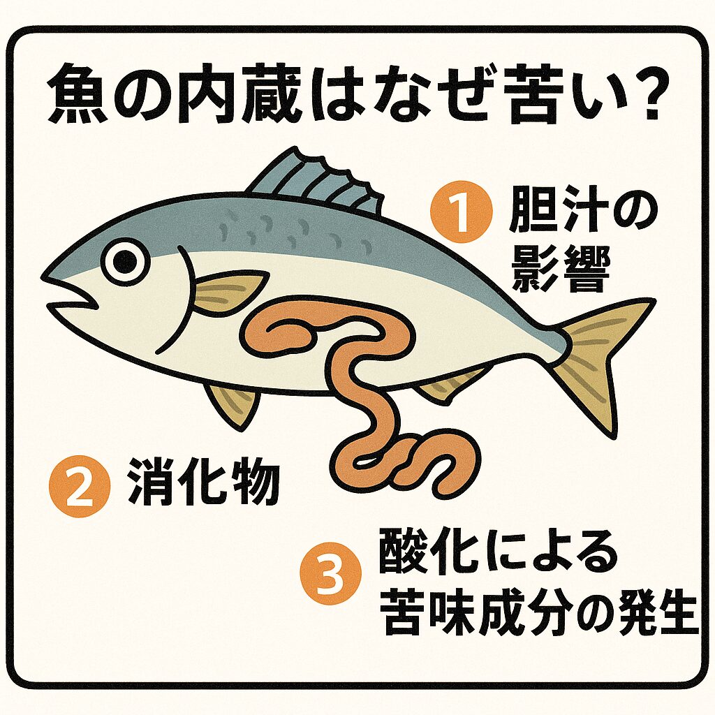 魚の内臓はなぜ苦い?栄養はある?ほとんどの魚は内臓を食べても大丈夫?釣太郎