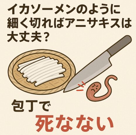 スルメイカは寄生虫アニサキスが多いが、イカソーメンのように細く切れば寄生虫アニサキスは死なない場合も多い。包丁で切ってもアニサキス退治できるわけでない。釣太郎