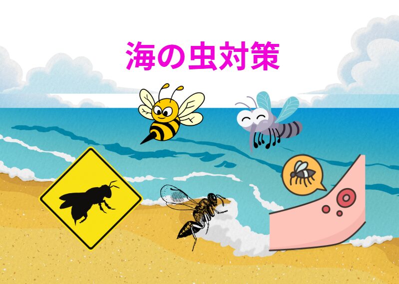 「海には蚊がいない」という誤解を捨て、海辺に潜む多様な刺咬性昆虫たちの存在を認識することが、快適な釣りやアウトドアを楽しむための第一歩。釣太郎
