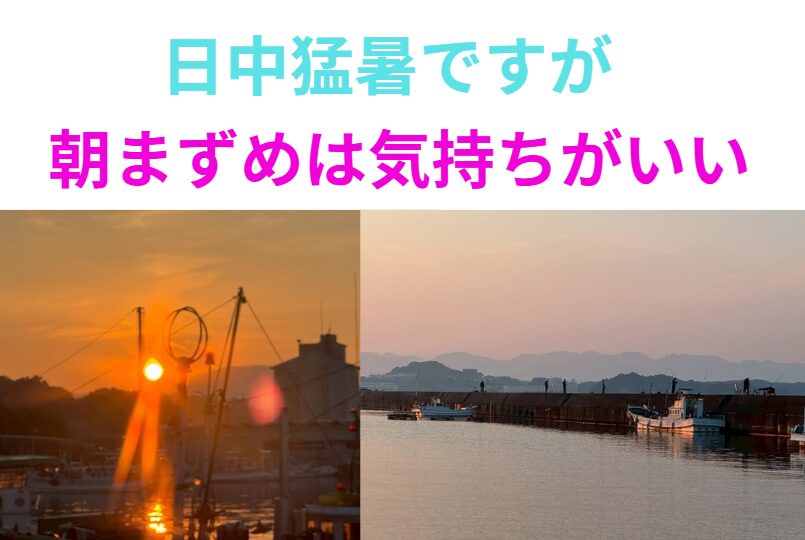 【夏釣り対策】日中猛暑でも安心！朝まずめ・夕まずめだけの快適釣行スタイル。釣太郎