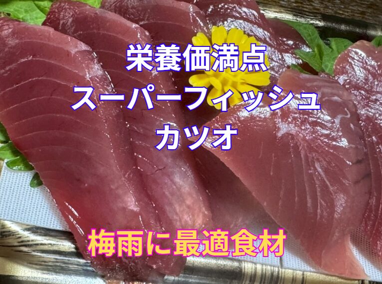 カツオで梅雨の不調を吹き飛ばし、元気に過ごそう!釣太郎