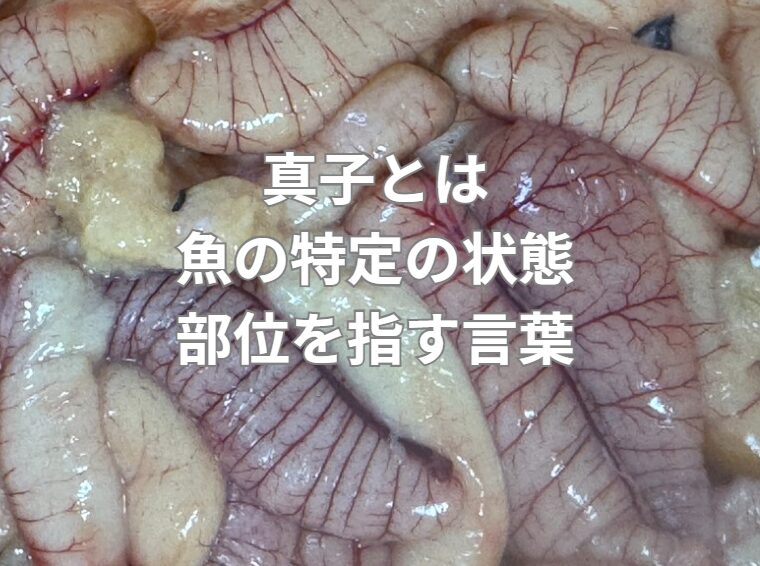 「魚卵」とは何か？広義の意味での卵。「真子」とは？特定の状態・部位を指す言葉。釣太郎