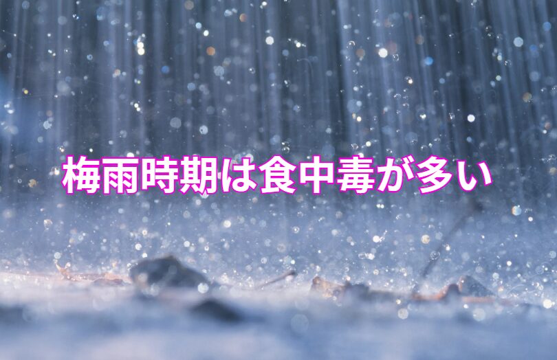 梅雨の釣りは、アジやイサキ、タコなど旬の魚を狙える最高のシーズン。
しかし、高温多湿という環境は食中毒リスクも最大になります。釣太郎