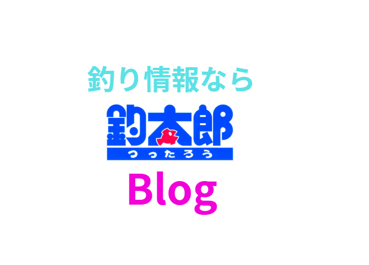 釣り情報ならAIを駆使し、毎日30本ほど更新される釣太郎ブログがおすすめ。