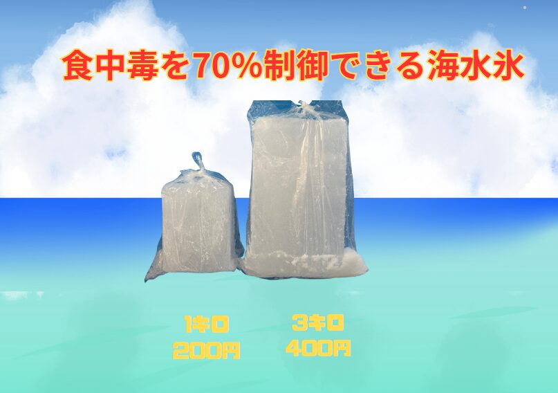海水氷が真水氷より食中毒を70%抑制する科学的理由。釣太郎