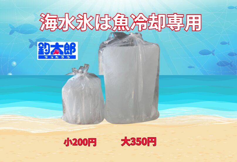 海水氷が「梅雨時期の鮮度管理」に優れている理由。釣太郎