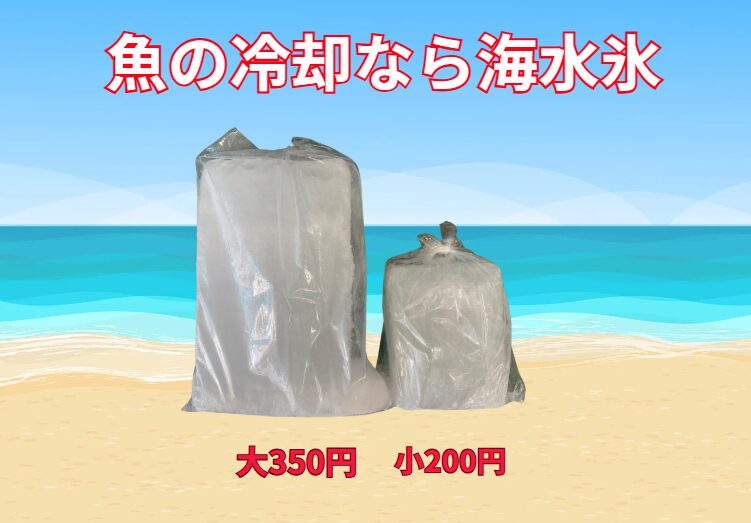 海水氷を使用することで、食中毒の発生率を70%も抑制できる可能性あり。釣太郎