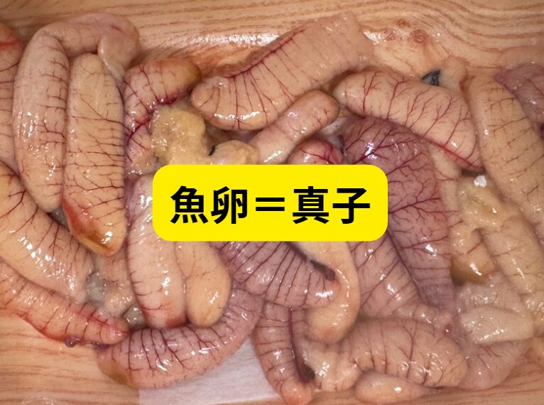 魚卵を「真子」と呼ぶ理由。釣太郎