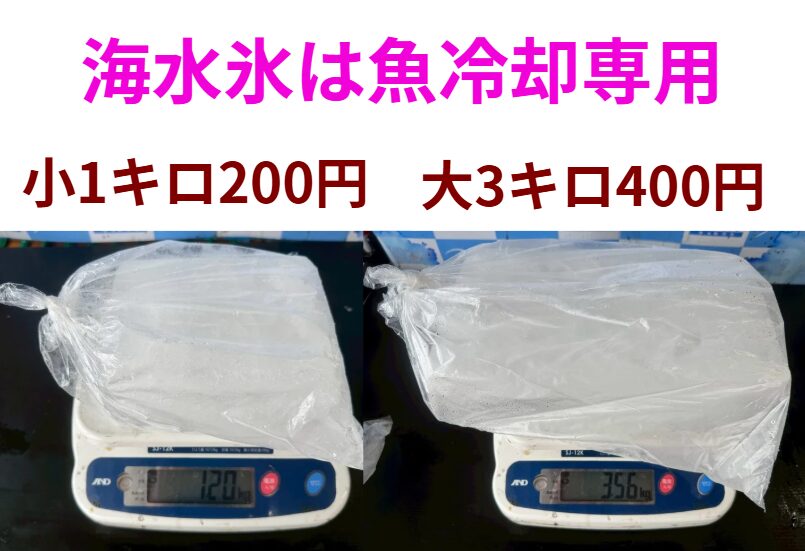 【注意喚起】海水氷は海水魚専用!野菜・果物・淡水魚・肉類には不向きな理由.。釣太郎