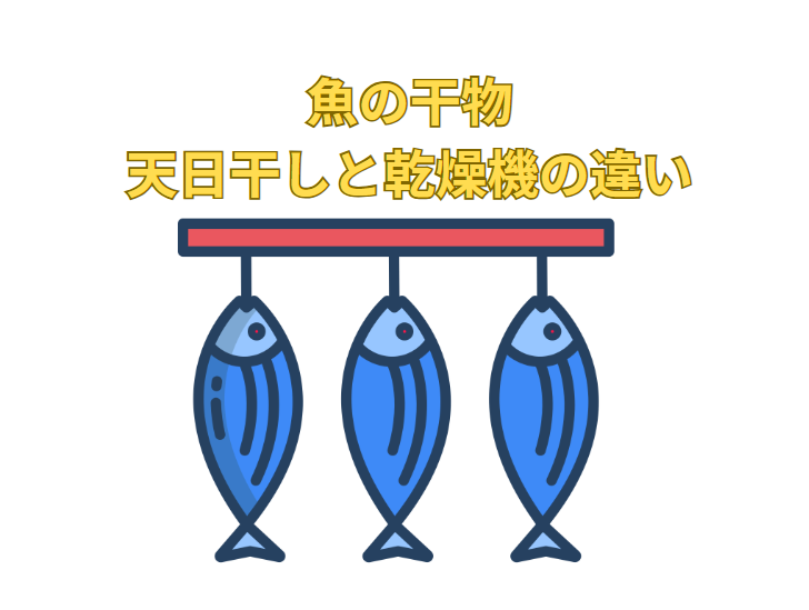 魚の干物：乾燥機と天日干し、味の違いは？旨味を最大限に引き出す方法。釣太郎