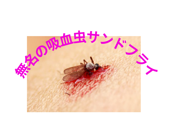 海辺の無名の吸血昆虫サンドフライ。釣太郎