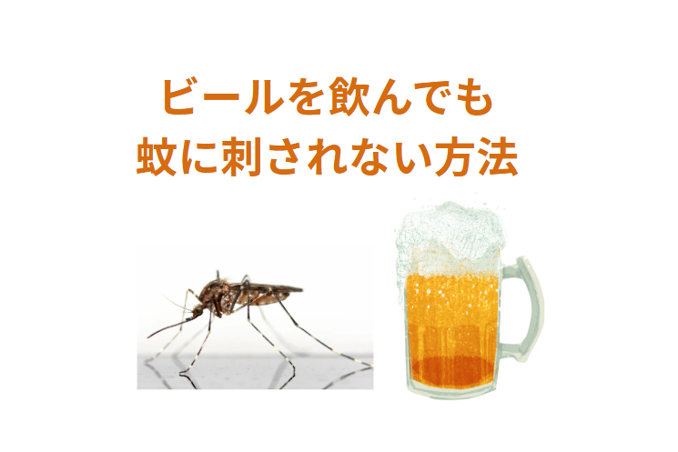 究極の蚊対策！どれだけビールを飲んでも刺されないための完全ガイド。釣太郎