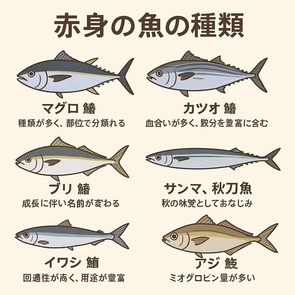 赤身魚が人気の理由 。栄養価が高く、健康効果が期待できる。濃厚な旨味があり、刺身や寿司に最適。釣太郎 ・運動量の多い魚ゆえ、身が引き締まっていて歯ごたえも良好 ・脂の乗りと筋肉質な味わいのバランスが抜群。釣太郎