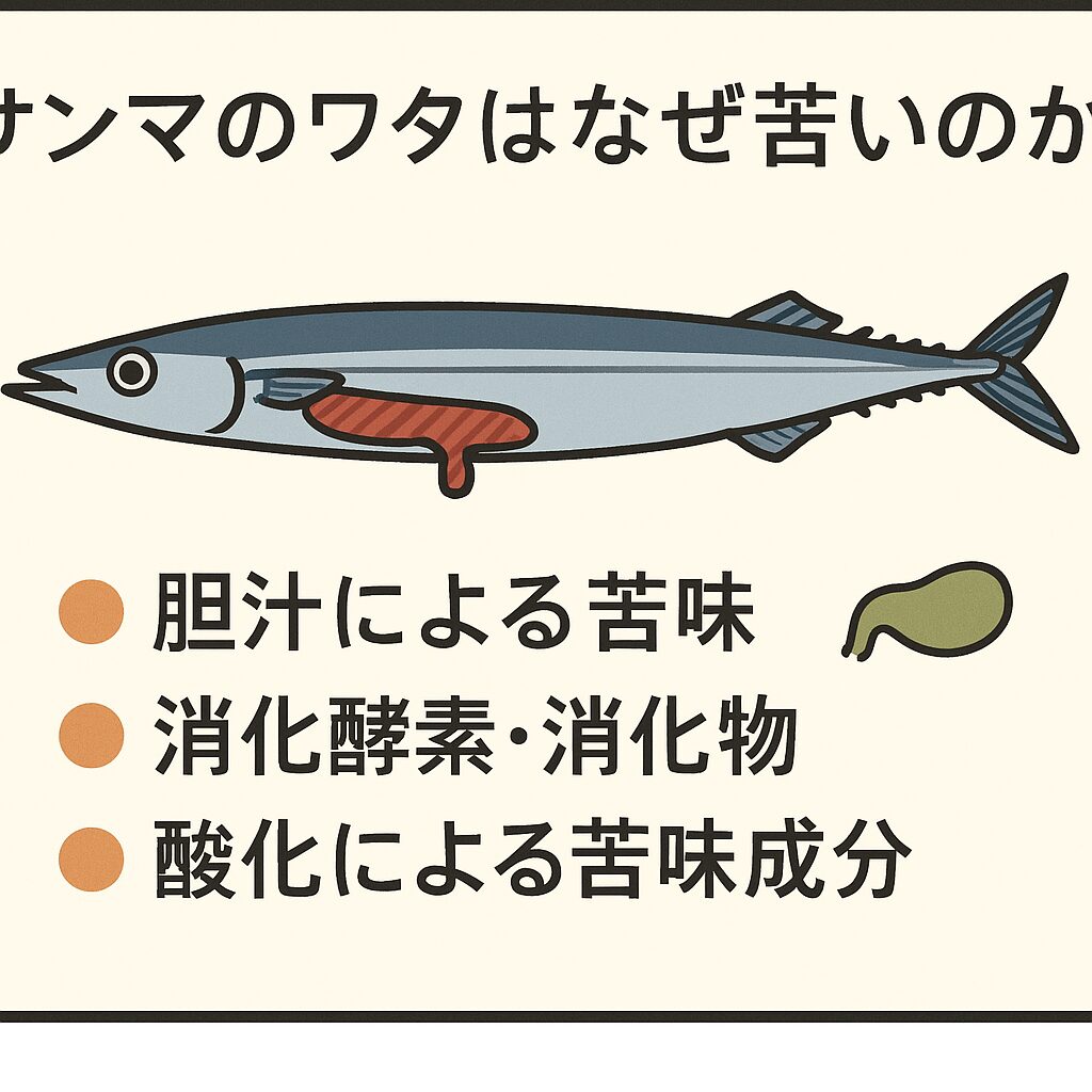 サンマのワタは、まさに「好き嫌いがはっきり分かれる大人の嗜好品」。釣太郎