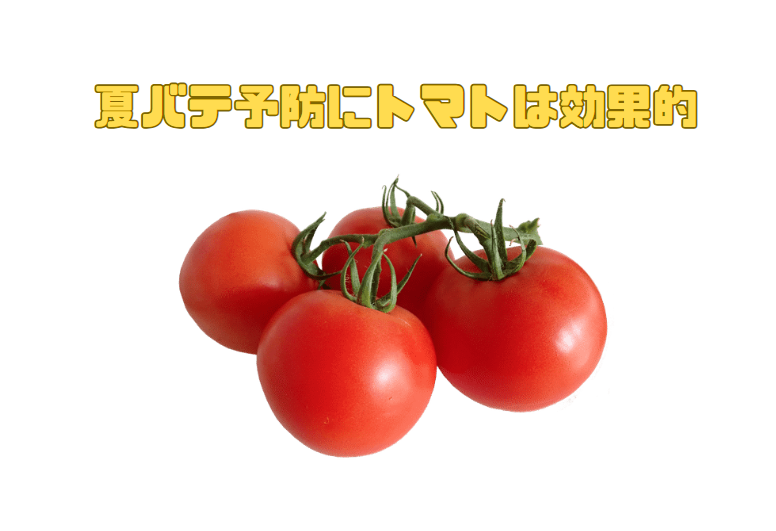 トマトは夏バテ予防に効果がある！釣太郎