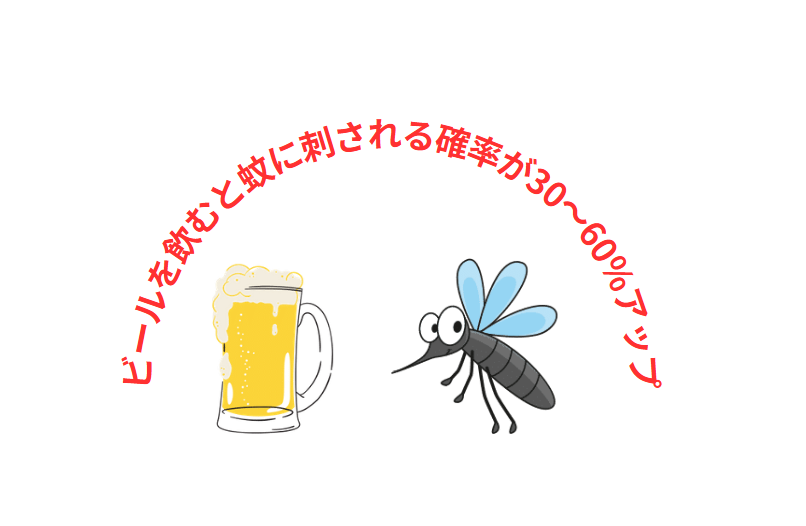 ビールを飲むと蚊に刺される確率が30〜60%アップする理由。釣太郎
