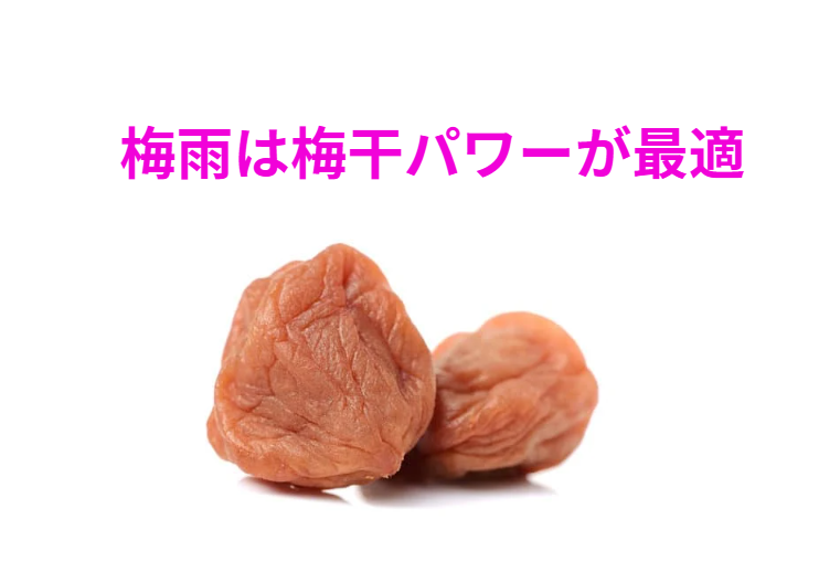 梅雨は梅干を食べて体調リセットがおすすめ。釣太郎