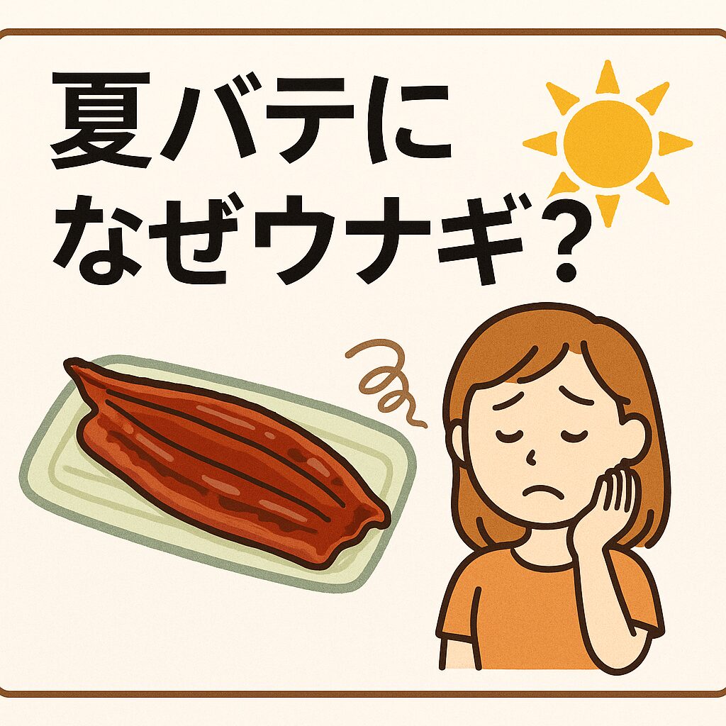 ウナギ＝夏バテに良いと言われる理由。釣太郎