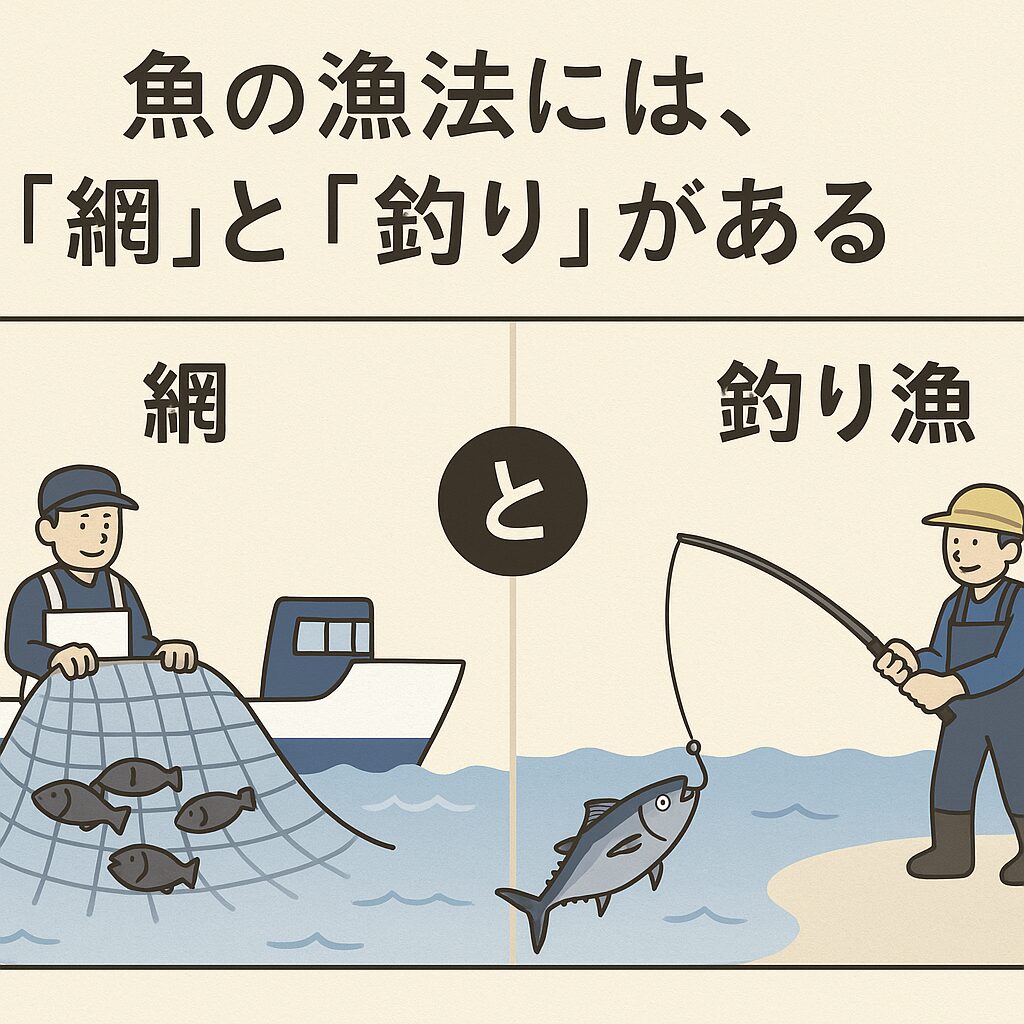 魚は「網獲り」と「一本釣り」でこんなに違う！味と鮮度、そして価格の秘密。釣太郎
