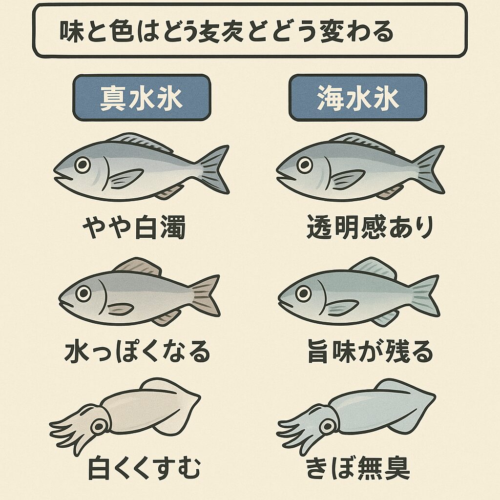 【実証比較】真水氷と海水氷で味と色はどう変わる?釣り魚の美味しさは冷やし方で決まる!釣太郎