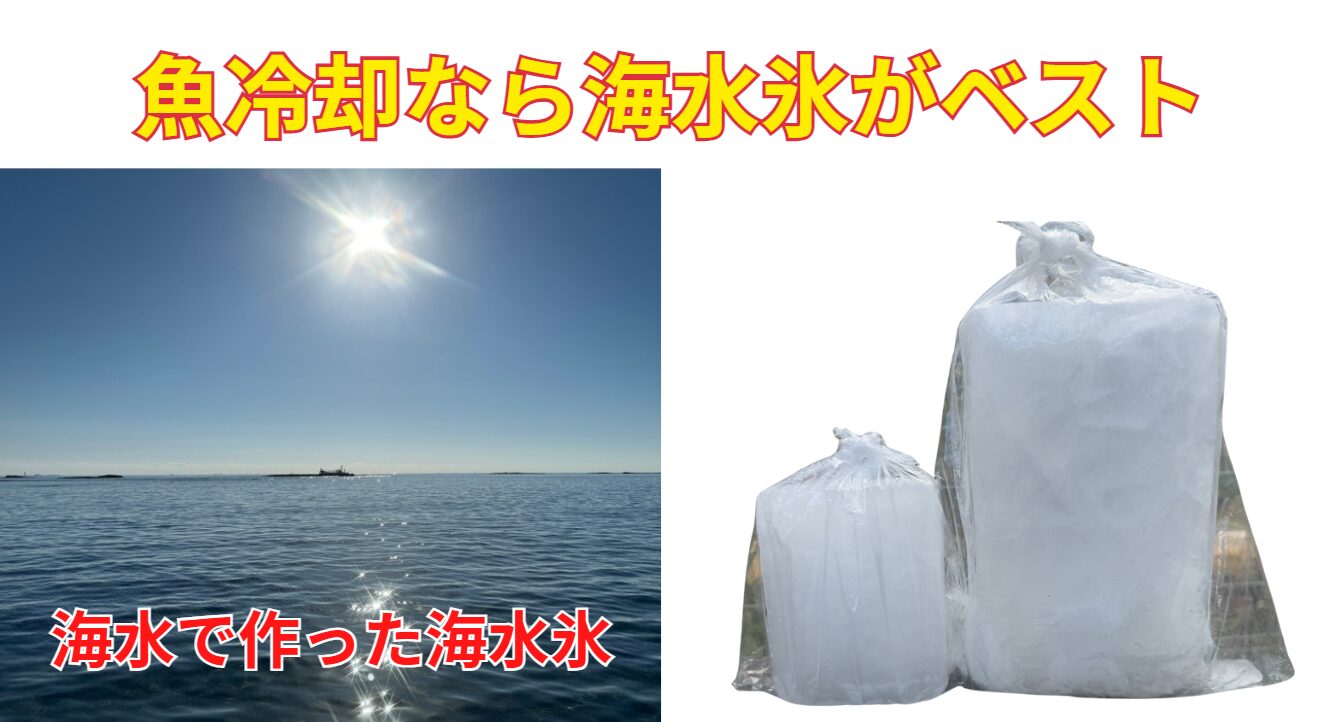 6月の魚の保存は海水氷(海の水を凍らせたもの)で決まり!釣太郎