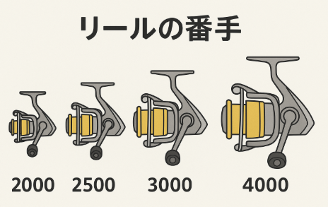 【初心者向け】リールの“番手”って何？サイズの意味と選び方をやさしく解説！釣太郎