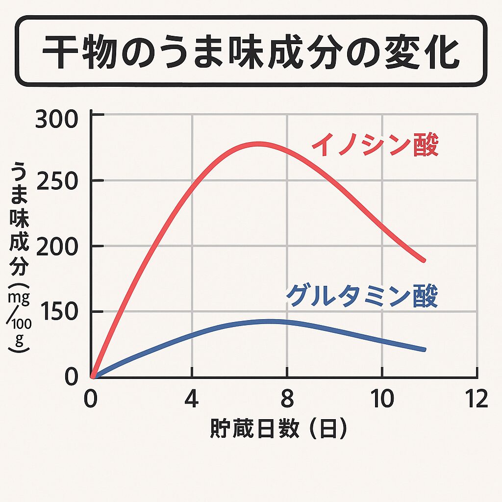 魚の干物は「寝かせ」てさらに美味しく！旨味成分の変化を徹底解説。釣太郎