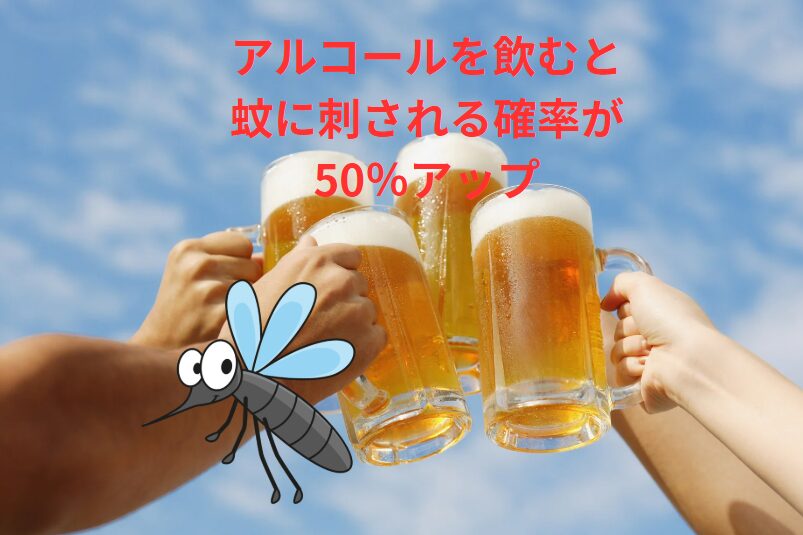 30%〜60%ビールを飲むと、蚊に刺されやすくなる。釣太郎