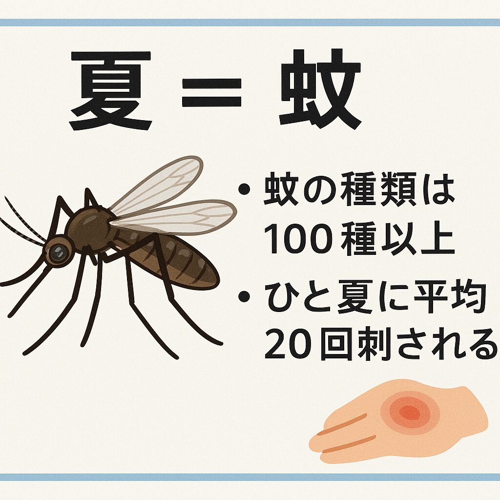 【夏の豆知識】蚊の種類は100種以上!ひと夏に平均20回も刺される。釣太郎