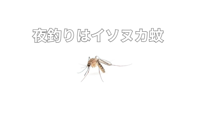 「磯」に生息し、「糠（ぬか）粒のように小さい蚊」という意味で「糠蚊（ヌカカ）」釣太郎